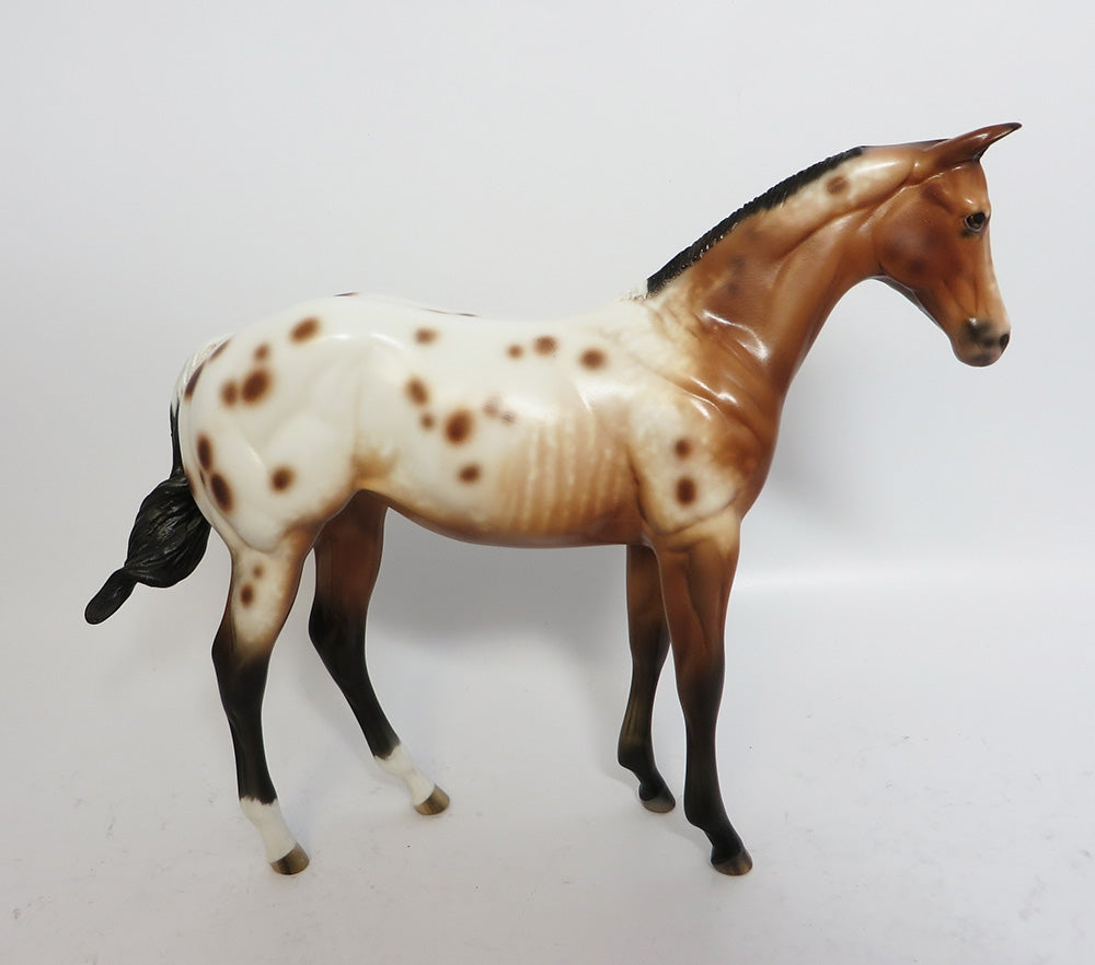 BARREL OF MONKEYS-OOAK CUSTOM BAY APPALOOSA WEANLING BY SHERYL LEISURE