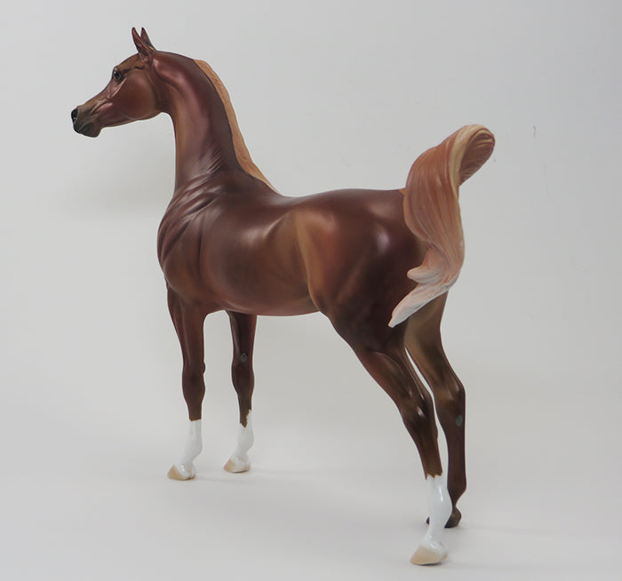 BADRA-CHESTNUT ARABIAN-OOAK 9/24