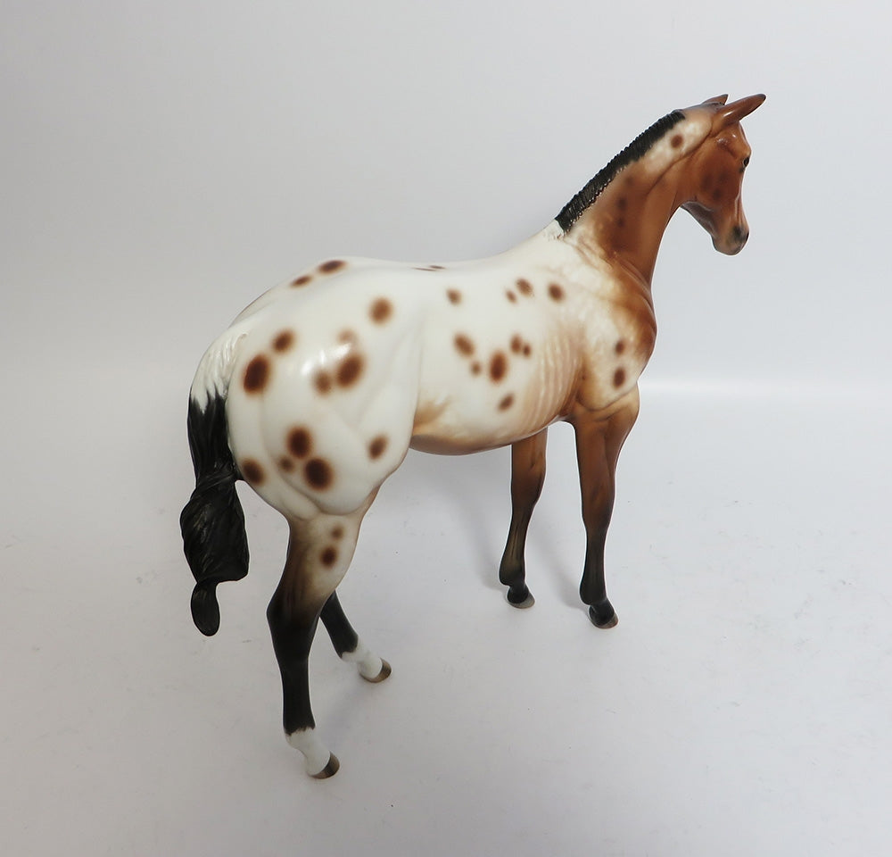 BARREL OF MONKEYS-OOAK CUSTOM BAY APPALOOSA WEANLING BY SHERYL LEISURE