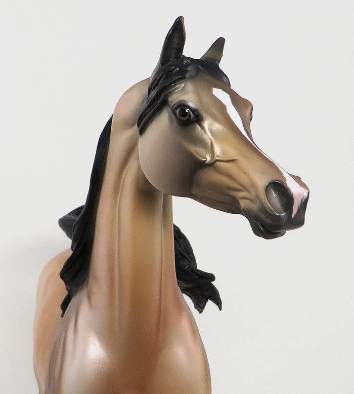 Custom Model Horse