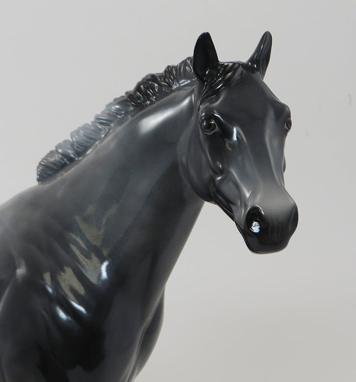 STORM TROOPER-DAPPLE GREY ISH-OOAK 9/25