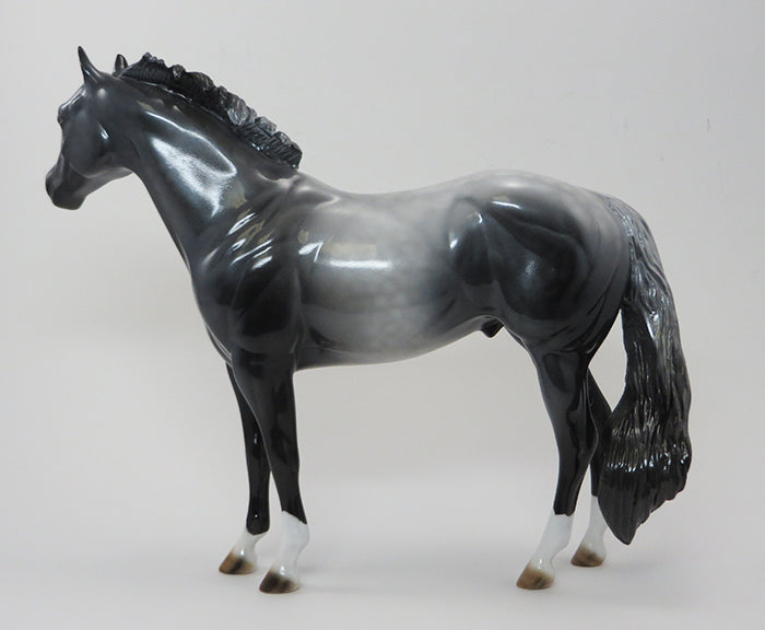 STORM TROOPER-DAPPLE GREY ISH-OOAK 9/25