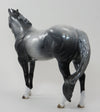 STORM TROOPER-DAPPLE GREY ISH-OOAK 9/25
