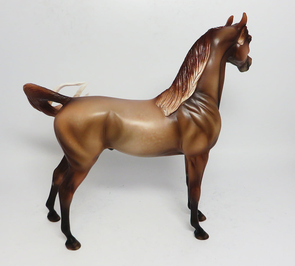 TANK-OOAK DAPPLE CHESTNUT ARABIAN MODEL HORSE 05/16/17