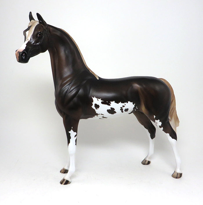 palomino arabian paint 