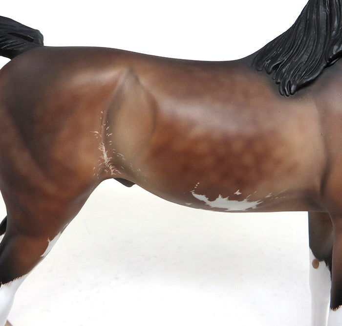 Sheryl Leisure Arabian