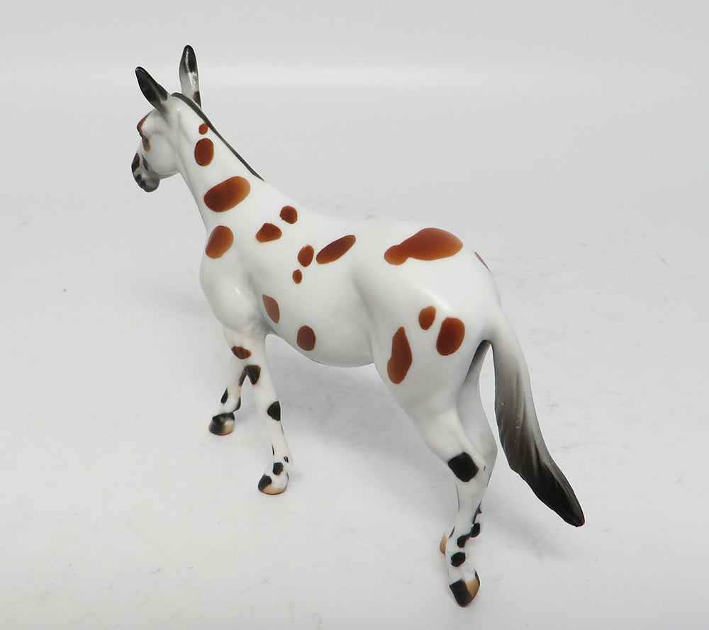 Appaloosa