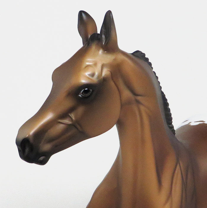Appaloosa Model Horse