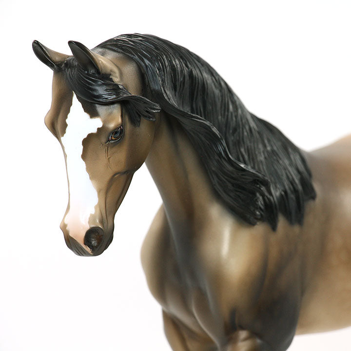 TEMPER TANTRUM - OOAK Sooty Buckskin Thoroughbred 6/15