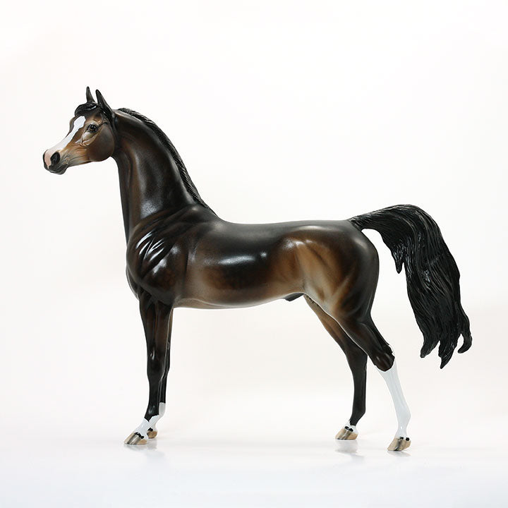 POWER DRIVE - OOAK Dappled Seal Bay Arabian 6/15