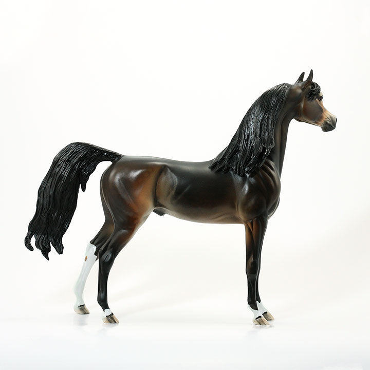 POWER DRIVE - OOAK Dappled Seal Bay Arabian 6/15