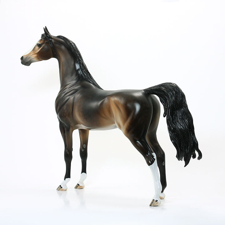 POWER DRIVE - OOAK Dappled Seal Bay Arabian 6/15