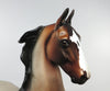 SKY ROCKETT-OOAK BAY ROAN SADDLEBRED