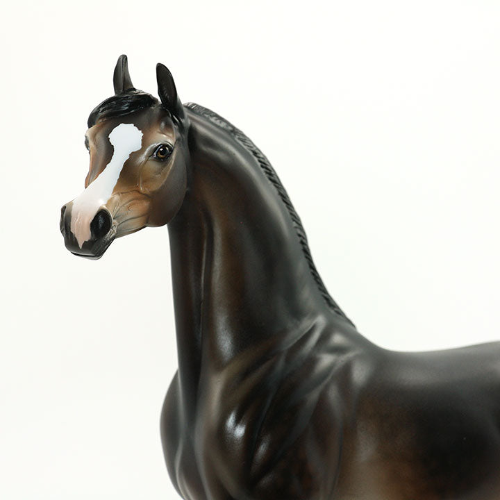 POWER DRIVE - OOAK Dappled Seal Bay Arabian 6/15