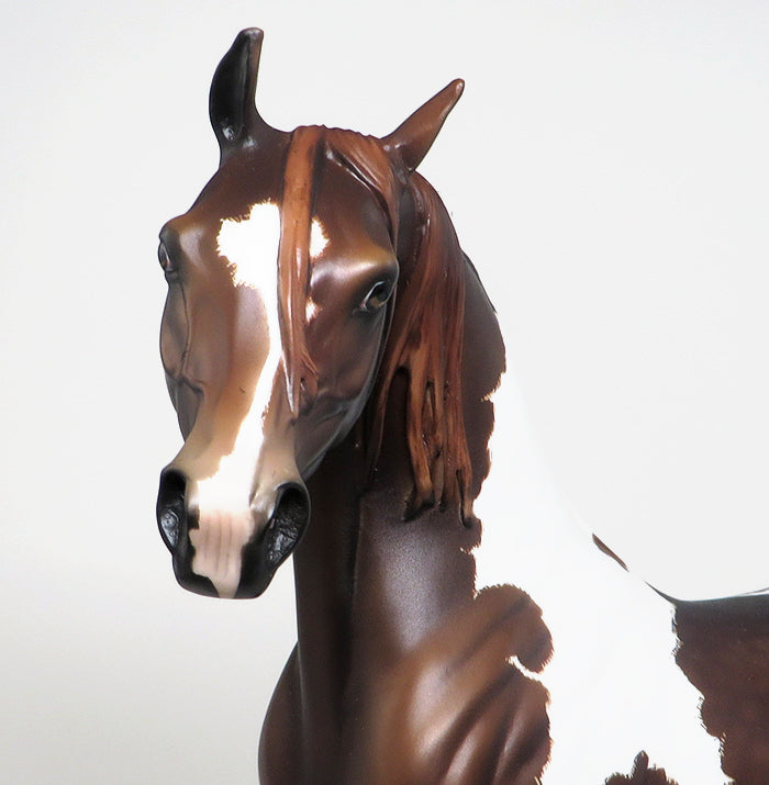 GOING GLOBAL - ETCHED CHESTNUT TOBIANO ARABIAN MODEL HORSE BY SHERYL LEISURE - LE3 - 1/11