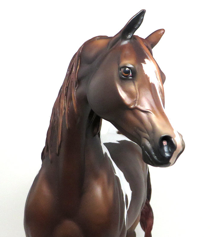 GOING GLOBAL - ETCHED CHESTNUT TOBIANO ARABIAN MODEL HORSE BY SHERYL LEISURE - LE3 - 1/11