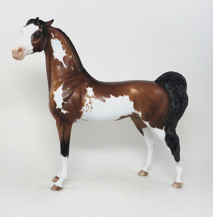 sabino arabian paint model horsee