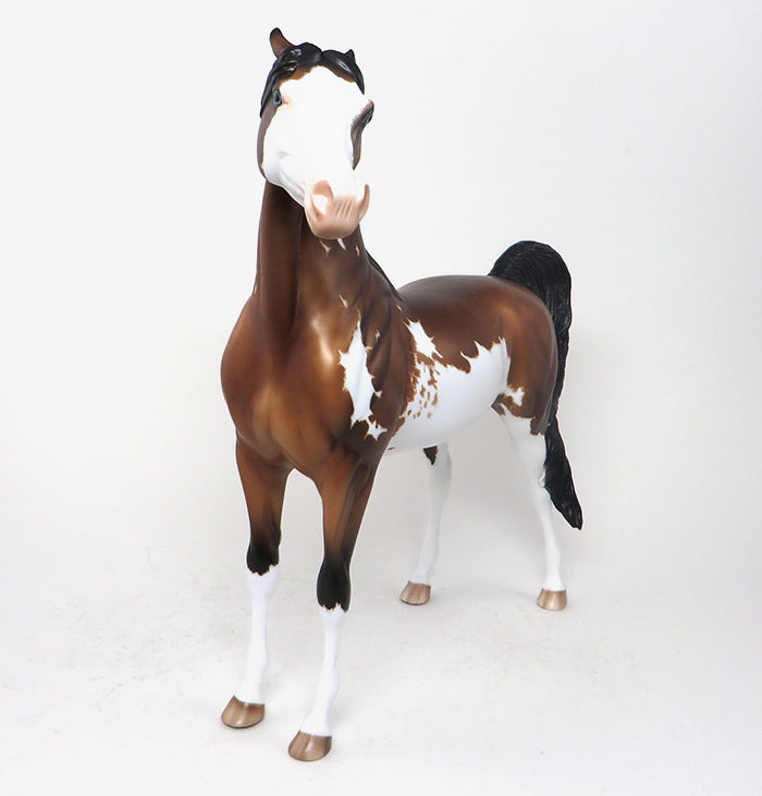 CURRIER-OOAK-BAY SABINO PINNED EAR ARABIAN MODEL HORSE 12/28