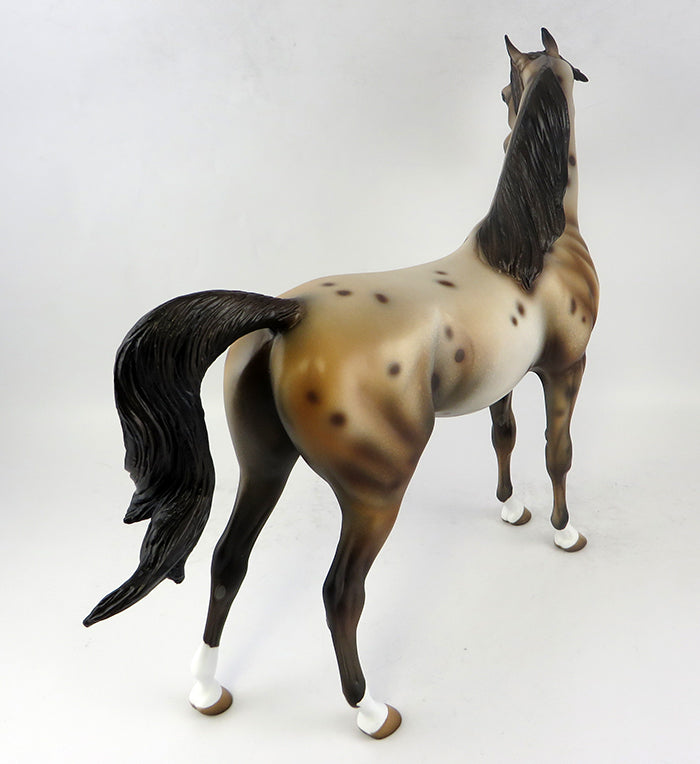 Appaloosa