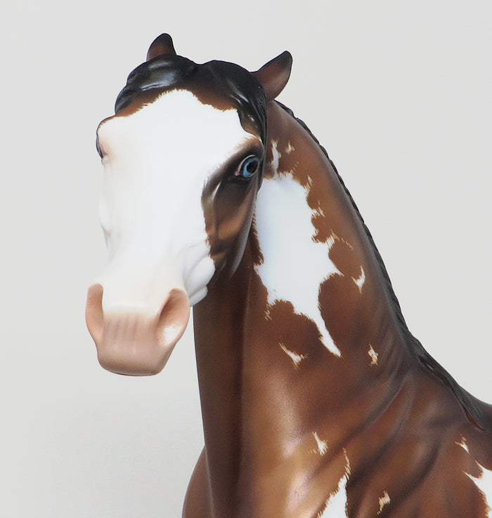 CURRIER-OOAK-BAY SABINO PINNED EAR ARABIAN MODEL HORSE 12/28