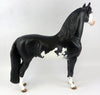 Morgan Horse