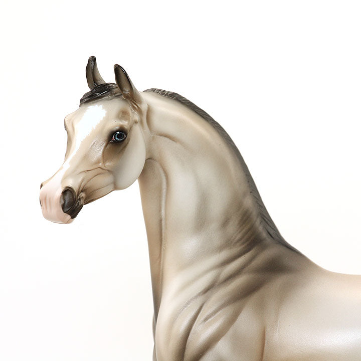 UNDER HEAVEN - OOAK Sooty Buckskin Arabian 6/15