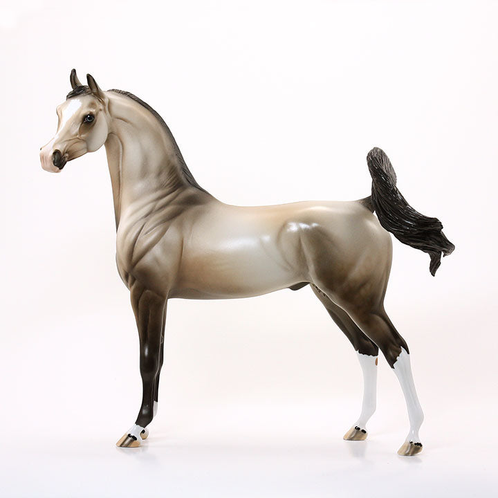 UNDER HEAVEN - OOAK Sooty Buckskin Arabian 6/15