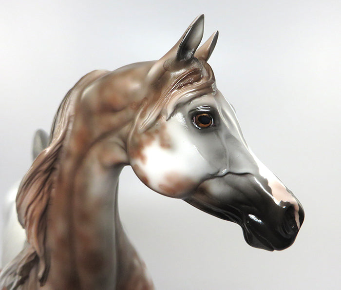 BEDOUIN-OOAK BLOODY SHOULDER ARABIAN MODEL HORSE 7/7