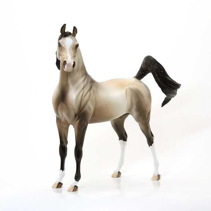 UNDER HEAVEN - OOAK Sooty Buckskin Arabian 6/15