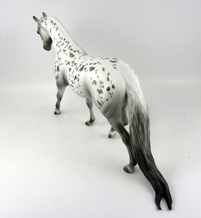 Appaloosa