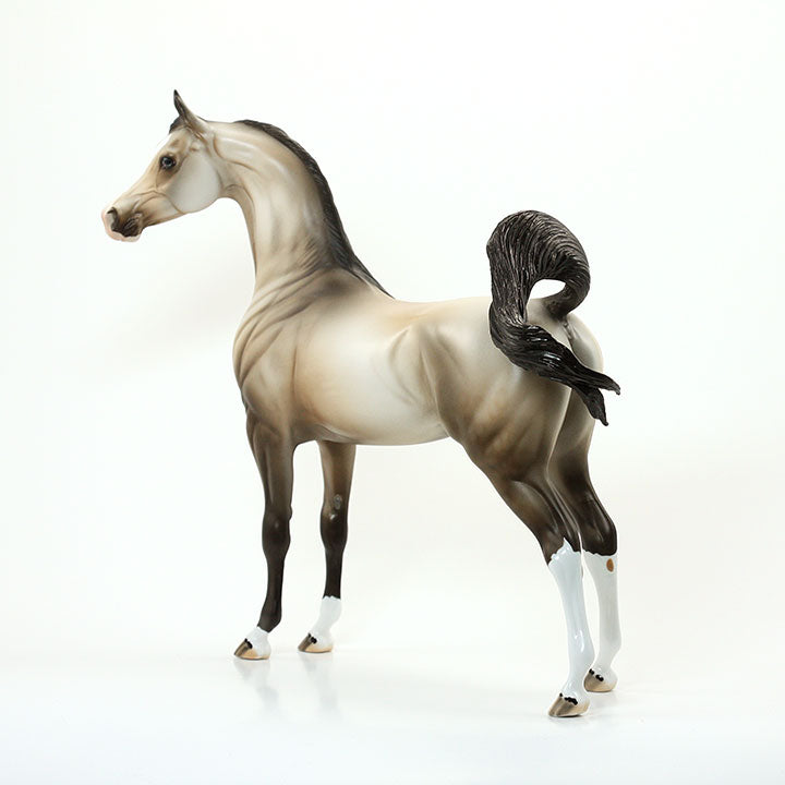 UNDER HEAVEN - OOAK Sooty Buckskin Arabian 6/15