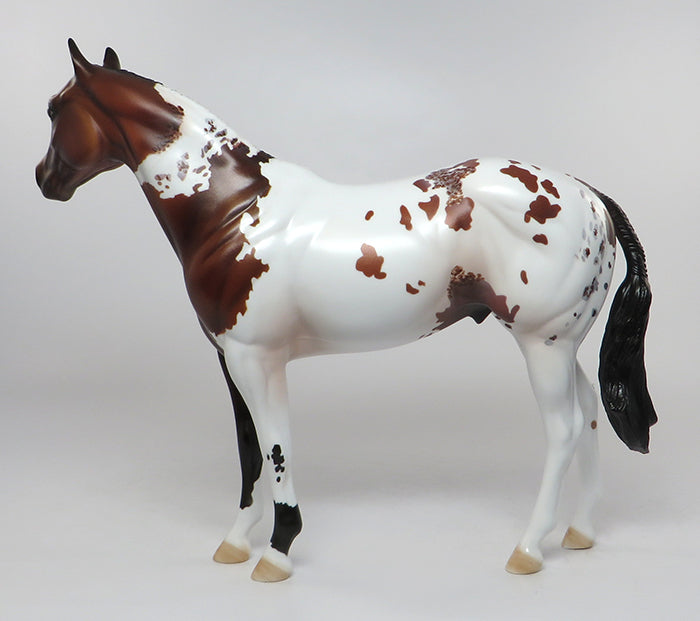 CHAMP-OOAK BAY PINTALOOSA ISH MODEL HORSE 7/7