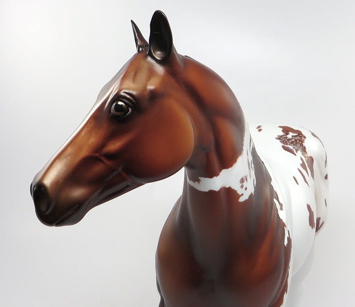 CHAMP-OOAK BAY PINTALOOSA ISH MODEL HORSE 7/7