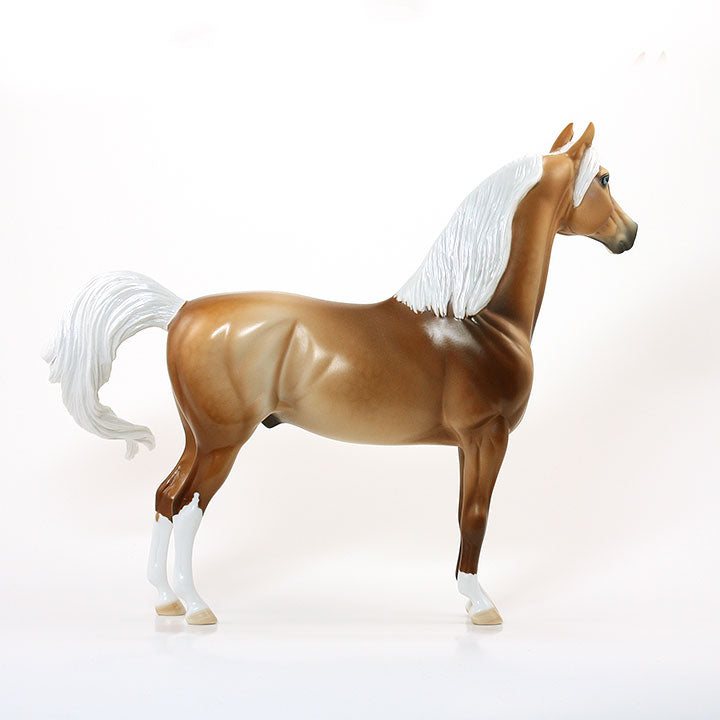 THE GRADUATE - OOAK Palomino Morgan Model Horse - 5/15