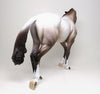 MOON PIE - OOAK APPALOOSA THOROUGHBRED MODEL HORSE - 1/11