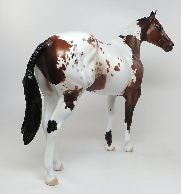 CHAMP-OOAK BAY PINTALOOSA ISH MODEL HORSE 7/7