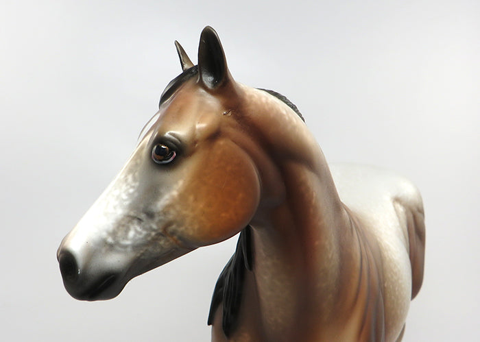 SPARK KNOCK-OOAK BAY ROAN APPALOOSA ISH MODEL HORSE 7/7