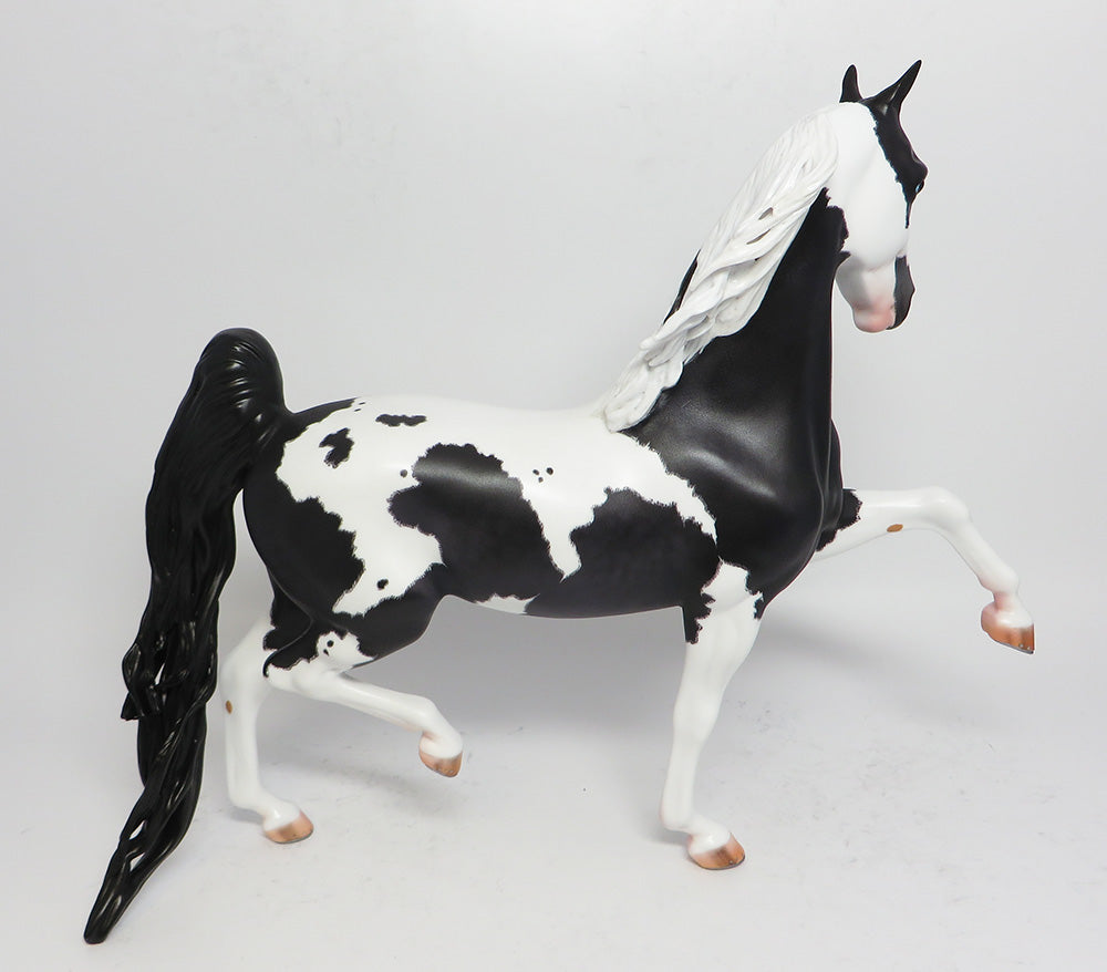 XANTHI~OOAK DAPPLE BLACK PINTO SADDLEBRED BY BOYDSTON 6/6/17