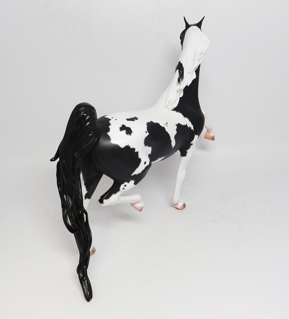 XANTHI~OOAK DAPPLE BLACK PINTO SADDLEBRED BY BOYDSTON 6/6/17