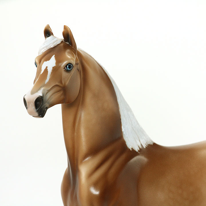 THE GRADUATE - OOAK Palomino Morgan Model Horse - 5/15