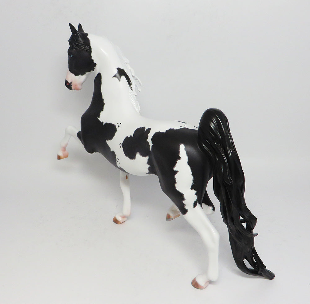 XANTHI~OOAK DAPPLE BLACK PINTO SADDLEBRED BY BOYDSTON 6/6/17