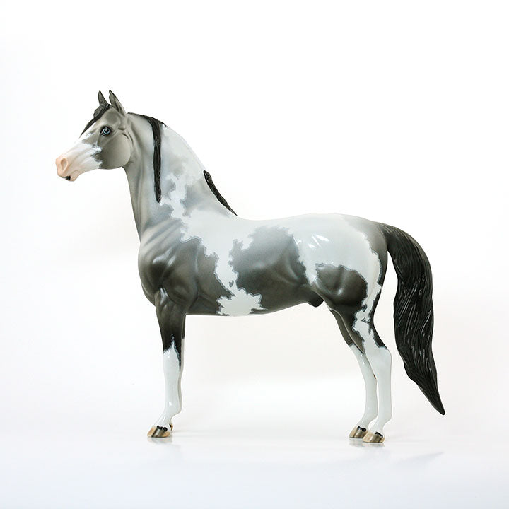 BETTER AND BETTER - OOAK Black Going Grey Pinto Morgan 6/15