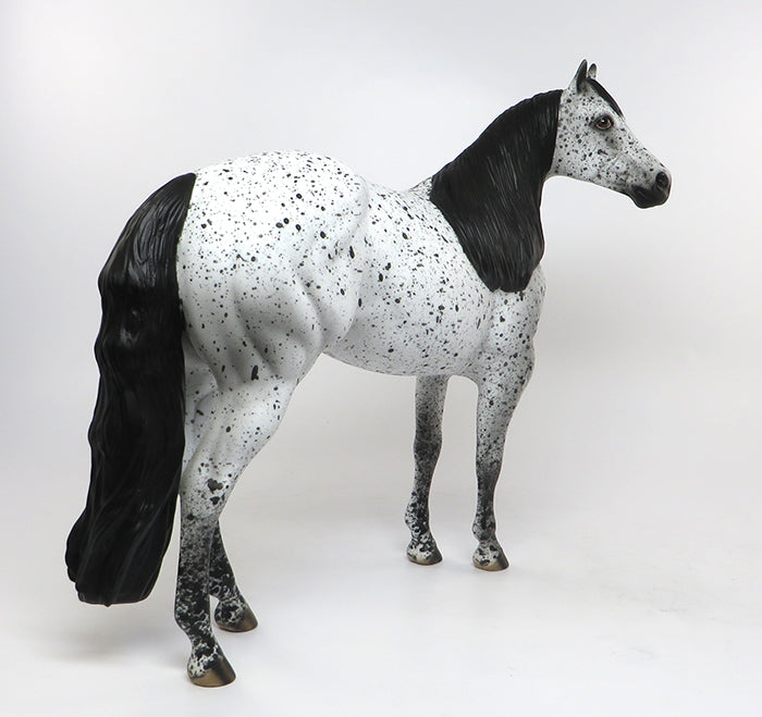 PHANTOM WINNER LOUD APPALOOSA