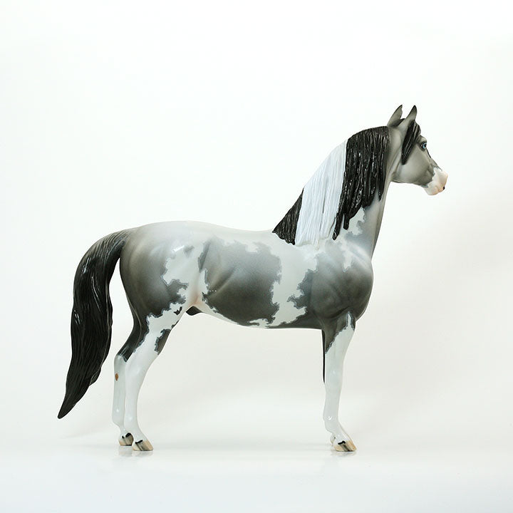 BETTER AND BETTER - OOAK Black Going Grey Pinto Morgan 6/15