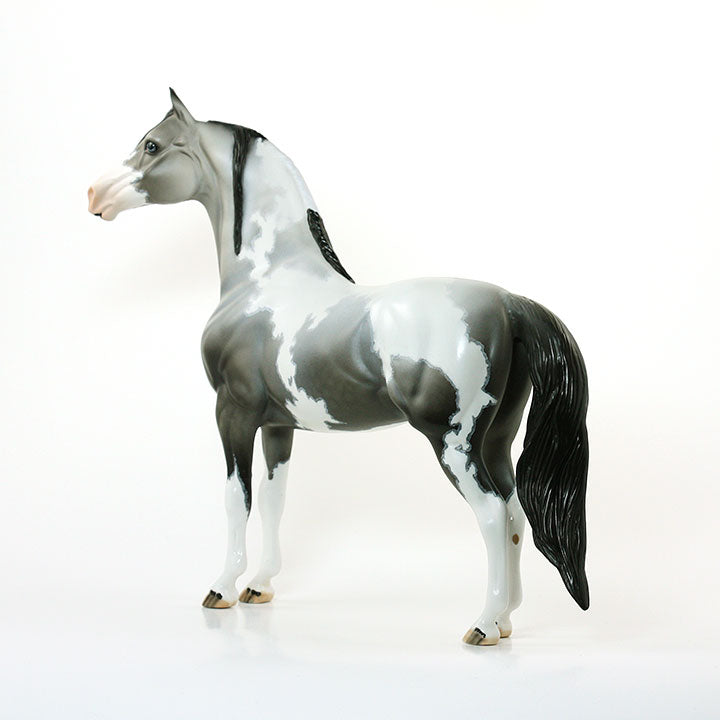 BETTER AND BETTER - OOAK Black Going Grey Pinto Morgan 6/15