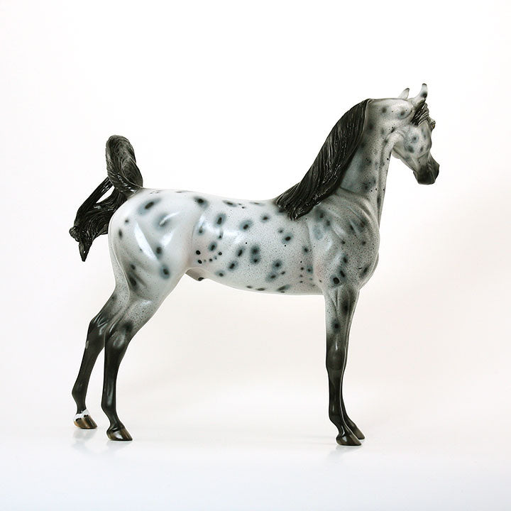 COLOR IN THE DOTS - OOAK Dapple Gray Arabian 6/15