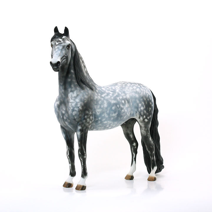 ITS A NEW DAY - OOAK Dapple Grey Morgan 6/15