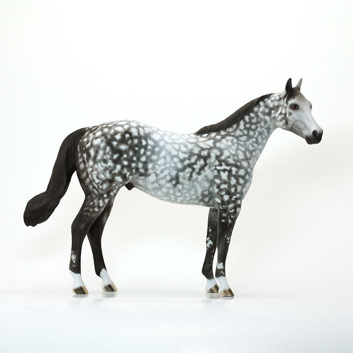 DREAM WEAVER FEVER - OOAK GREY STAR DAPPLED STOCK HORSE