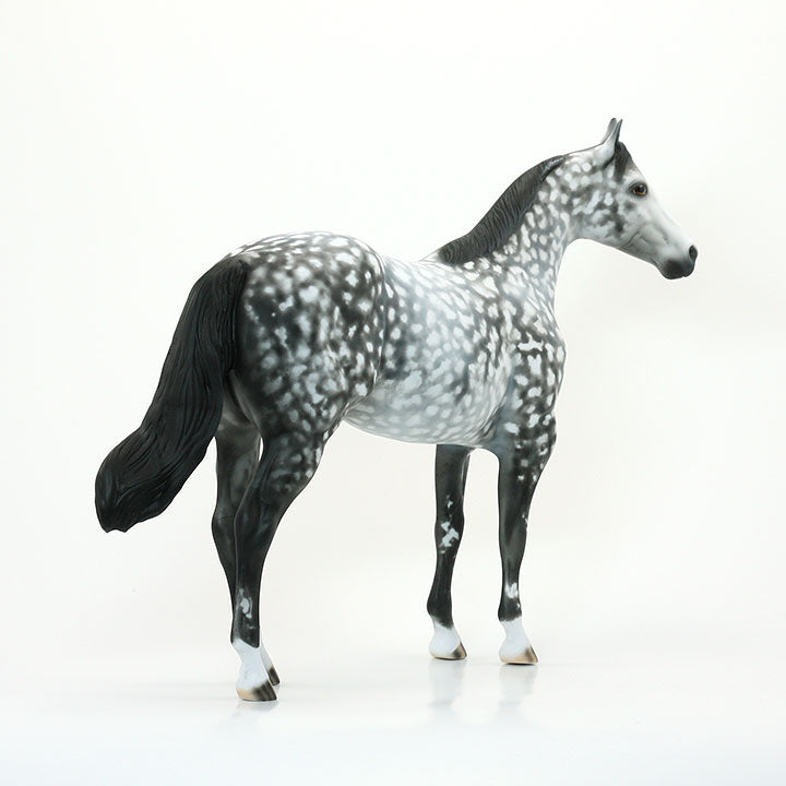 DREAM WEAVER FEVER - OOAK GREY STAR DAPPLED STOCK HORSE