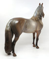 Silver Chestnut